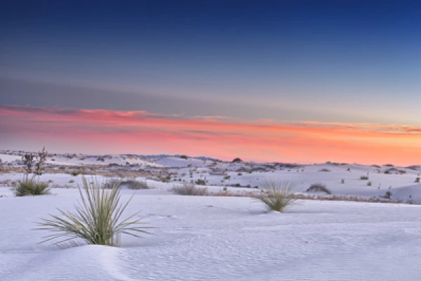 Photographs of the White Sand Dunes desert in New Mexico, USA.