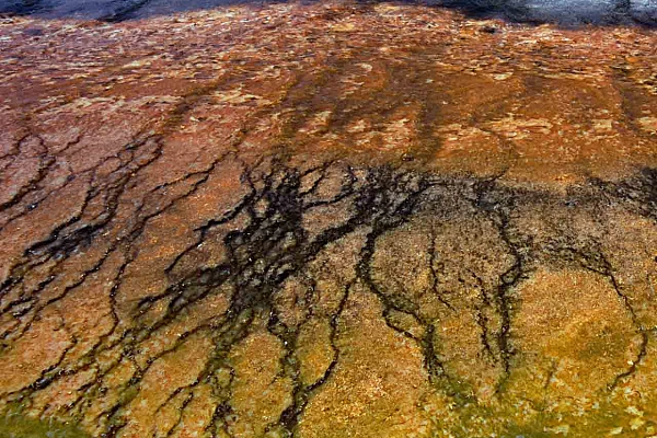 Reflection on water in the caldera of Yellowstone. Photograph by Amar Guillen, photographer artist.