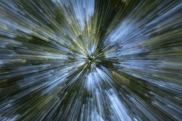 Undergrowth creatively photographed with zooming as a tribute to the film 'Back to the Future'. Fine art Photograph in black and white by Amar Guillen, photographer artist.