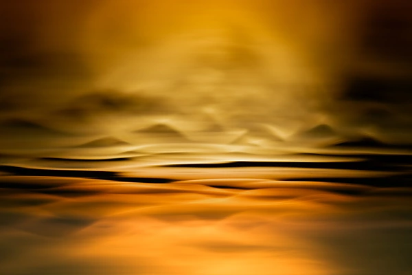Reflections on water on a pond in la Dombes in France, photographer artist.