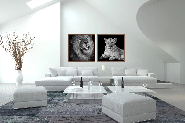 Example of a home interior with fine art prints in my style back to black displayed on the wall. These photos are a part of my collection 'Wild beauties of Kenya'.