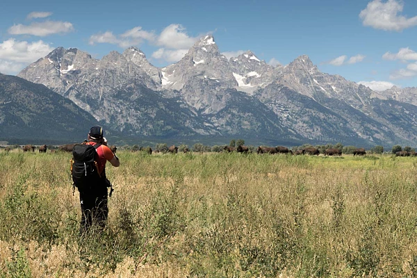 Serge, un des participants au stage au Yellowstone en août 2019. Il photographie des bisons avec le Grand Teton en arrière-plan.