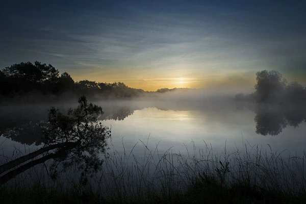 Landscape of a wetlands in Charente-Maritime in France. Fine art Photograph in color by Amar Guillen, photographer artist.