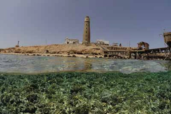 Brother Islands in the Red Sea off the coast of Egypt. Photographs by Amar Guillen.