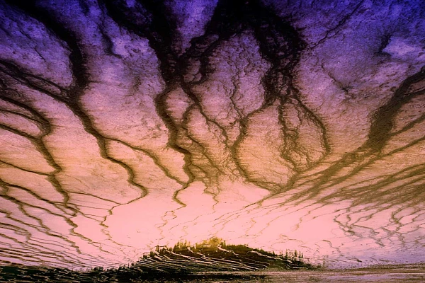 Reflections on water in Yellowstone. Photograph by Amar Guillen, photographer artist.
