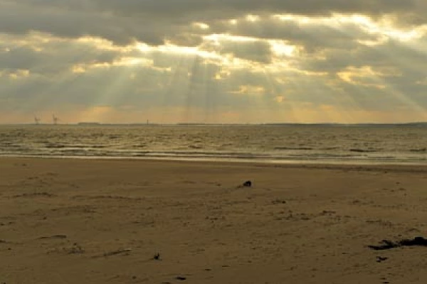 The banks of Gironde Estuary from Charente-Maritime. Photographs by Amar Guillen.