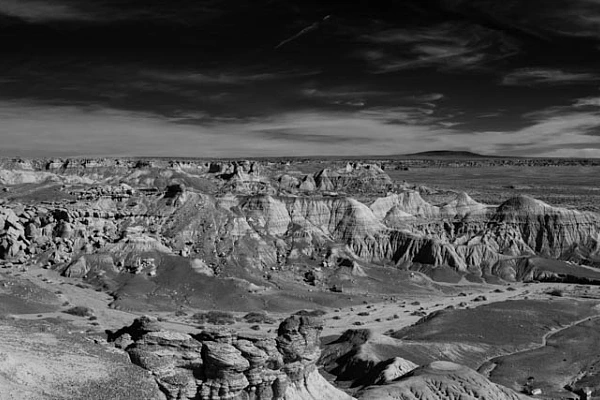 Landscape of Petrified Forest in Arizona. Photograph in black and white by Amar Guillen, photographer artist.