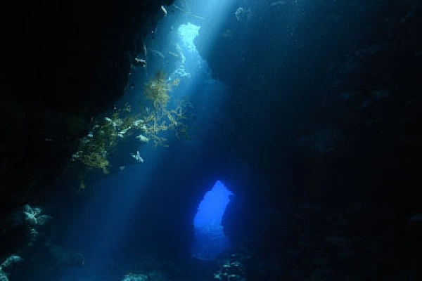 Cave of Shaab Claudio in the Red Sea. Photographs by Amar Guillen.
