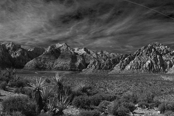 Red Rock Canyon in Nevada. Photograph in black and white by Amar Guillen, photographer artist.
