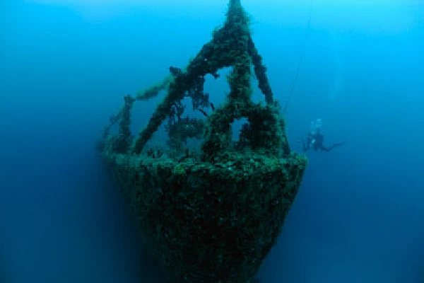Underwater sceneries of Key Largo in Florida, United States. Photographs by Amar Guillen.