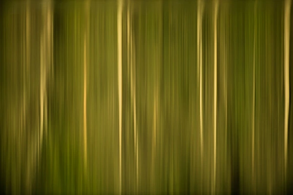The magic of conceptual photography. A photo from the 'Illusions' art prints collection.