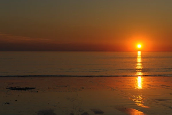 Landscapes of Medoc, Gironde. Photographs by Amar Guillen.