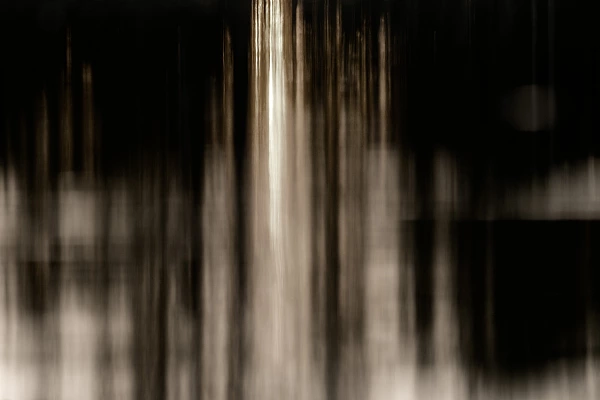Black and white reflections of trees on the water surface. Photograph by Amar Guillen, photographer artist.