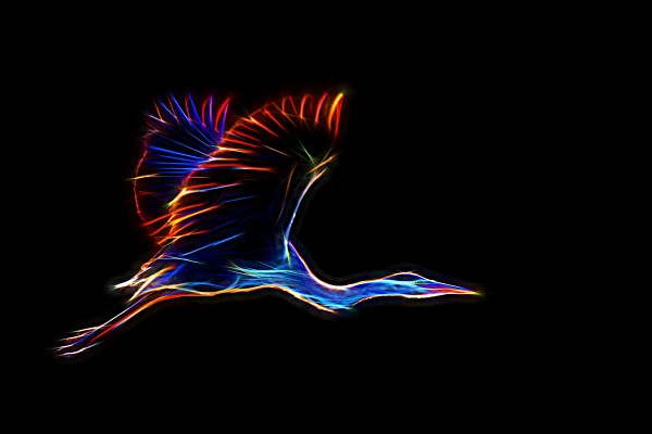 Grey heron flying over a pond in La Dombes in France. Photograph in the style fusion by Amar Guillen, photographer artist.