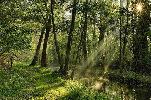 Landscape of Haute-Saintonge in Charente-Maritime in France. Photograph by Amar Guillen, photographer artist.