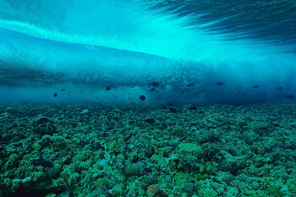 Underwater waves in the Red Sea