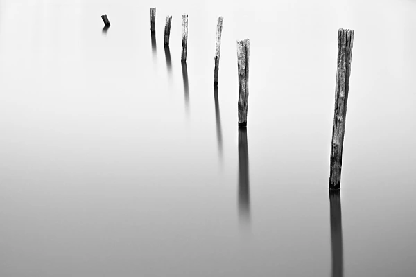 Symbolic photograph of stakes in a flooded meadow. Photograph in high key and black and white by Amar Guillen, photographer artist.