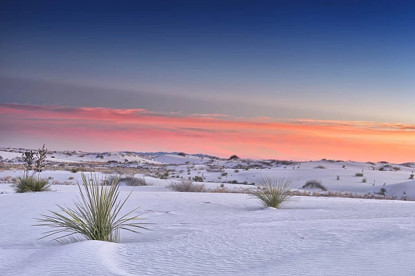 Landscape od the sand desert of White Sans Dunes in New Mexico in United States. Photograph by Amar Guillen, photographer artist.